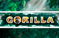 игровой автомат Gorilla