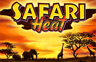 Игровые автоматы Safari Heat